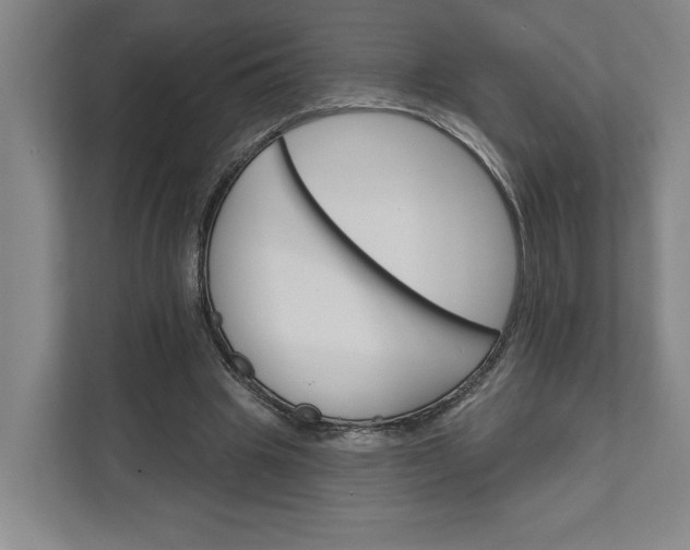 X0000111940441200908101205