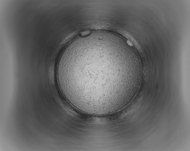 X0000111940442200908101205