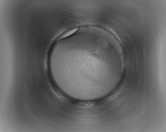 X0000111940443200908101205