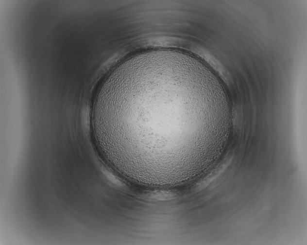 X0000111940445200908101205