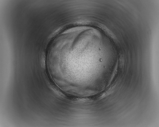 X0000111940446200908101205