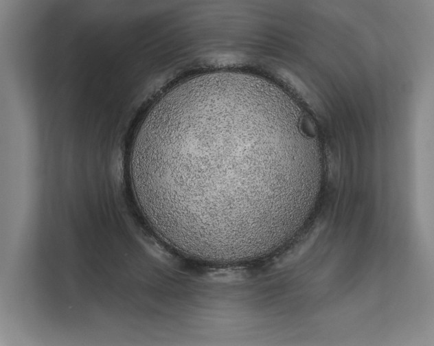 X0000111940447200908101205