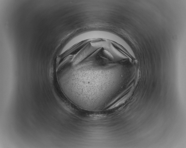 X0000111940448200908101205