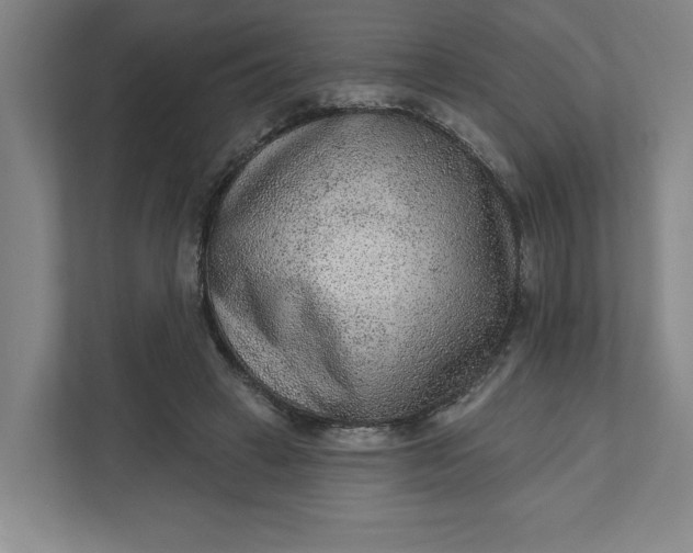 X0000111940449200908101205