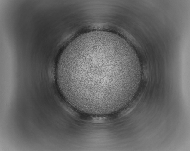 X0000111940450200908101205