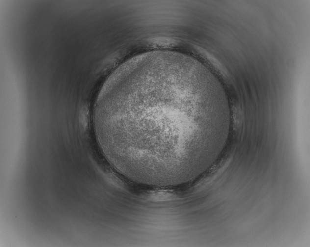 X0000111940451200908101205