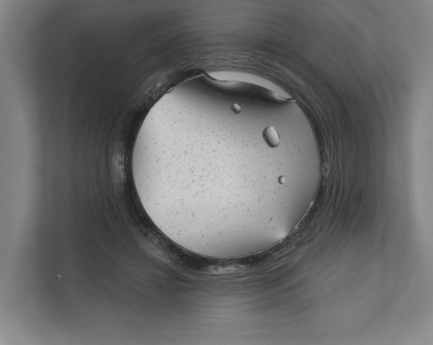 X0000111940452200908101205