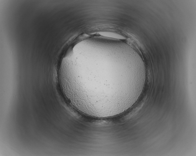 X0000111940453200908101205