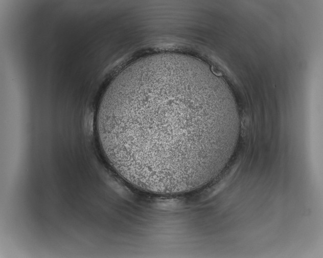 X0000111940454200908101205