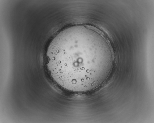 X0000111940455200908101205