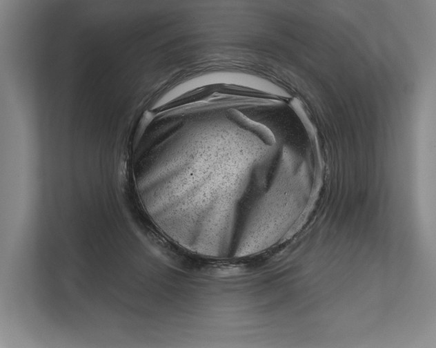 X0000111940456200908101205