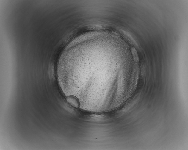 X0000111940457200908101206