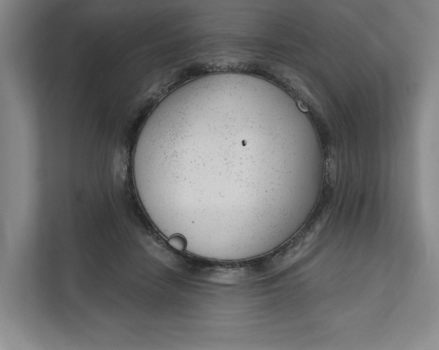 X0000111940458200908101206