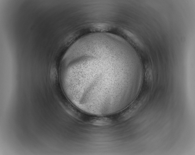 X0000111940459200908101206