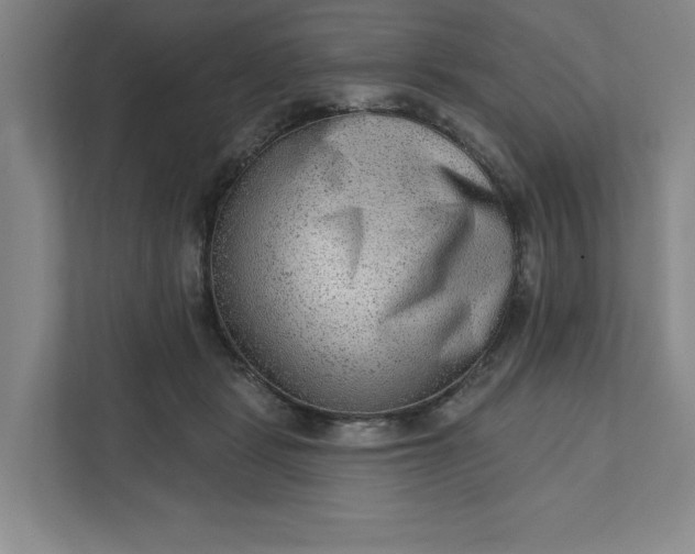 X0000111940461200908101206