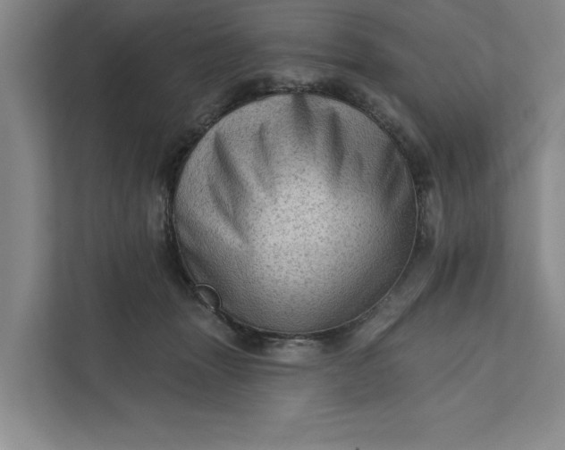 X0000111940463200908101206