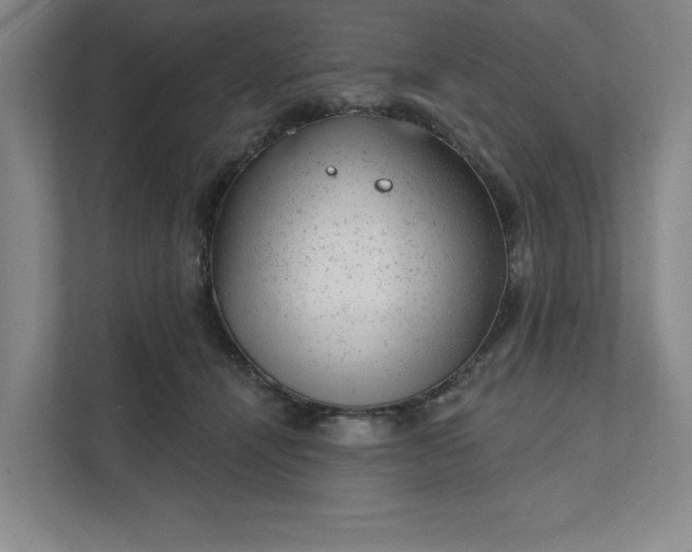 X0000111940464200908101206