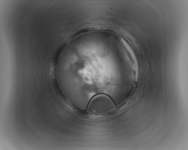 X0000111940465200908101206