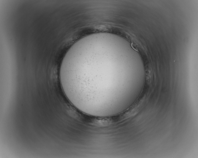 X0000111940466200908101206