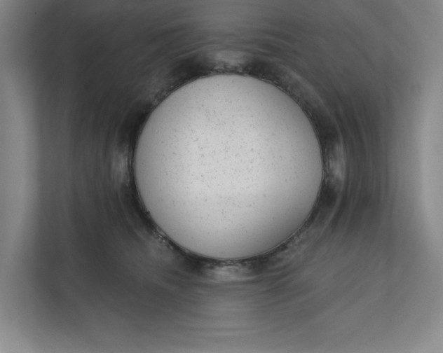 X0000111940468200908101206