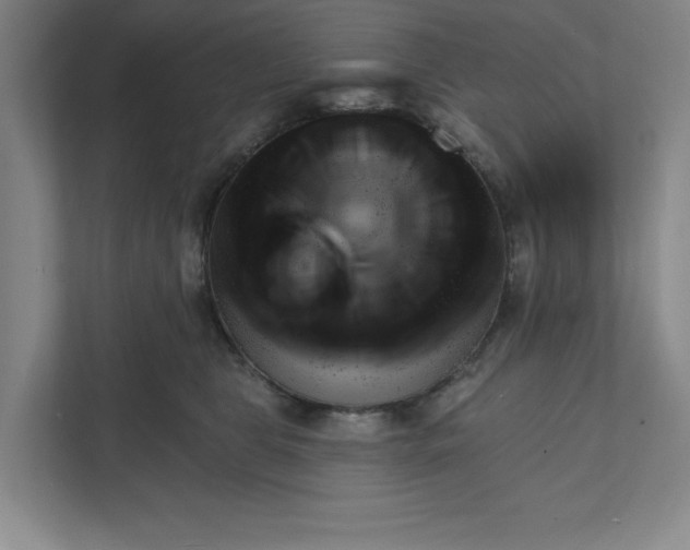 X0000111940469200908101206