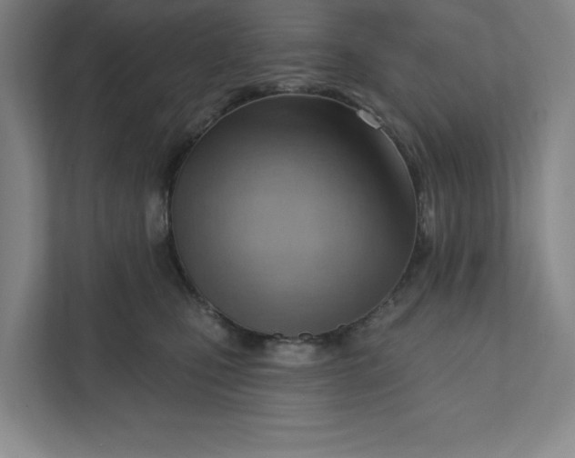 X0000111940471200908101206