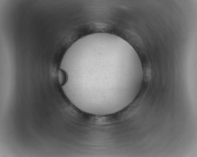 X0000111940472200908101206