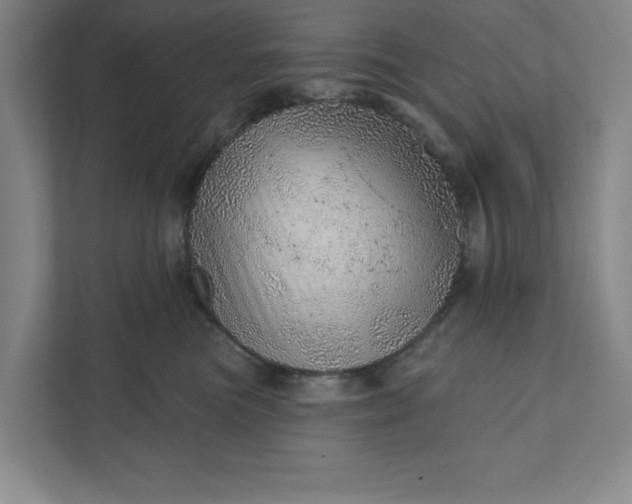 X0000111940473200908101206