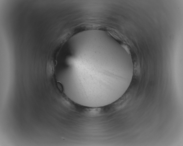 X0000111940474200908101206