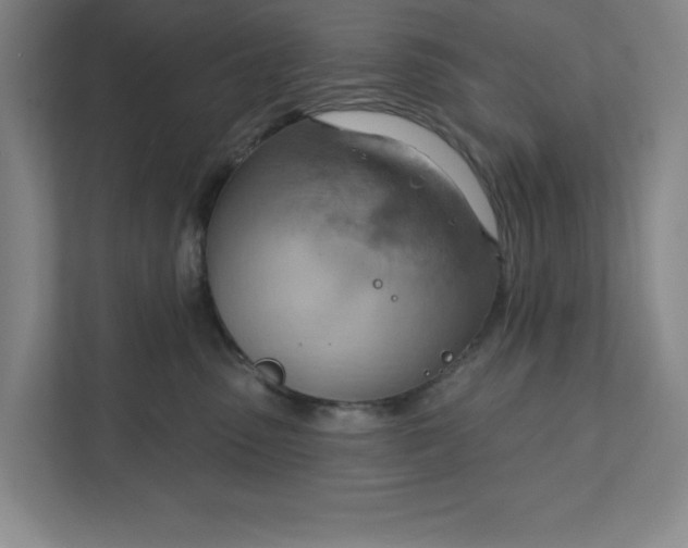 X0000111940475200908101206