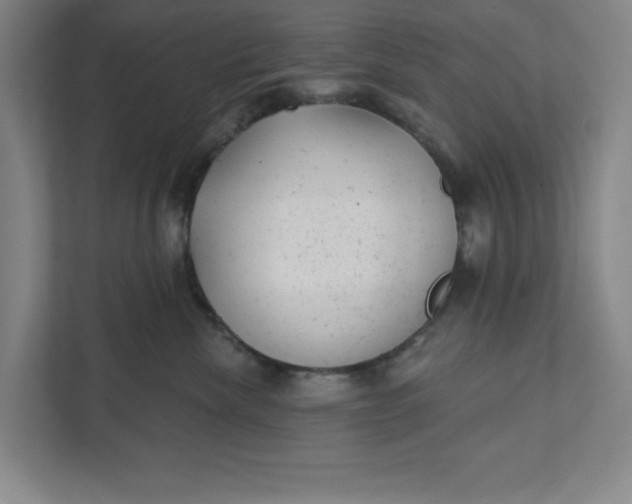 X0000111940476200908101206