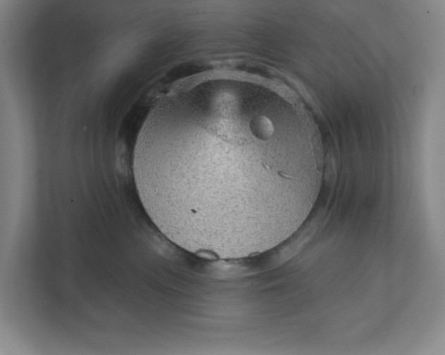 X0000111940477200908101206