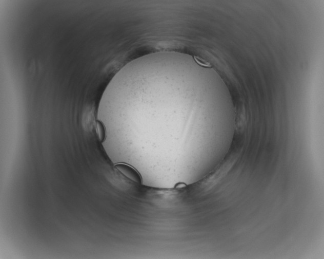 X0000111940478200908101206