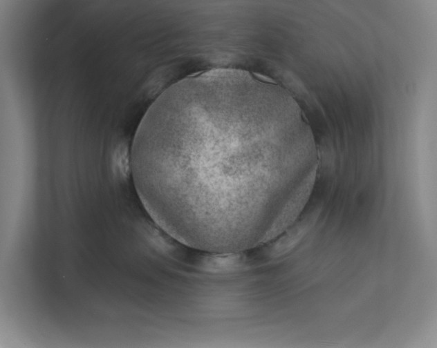 X0000111940479200908101206