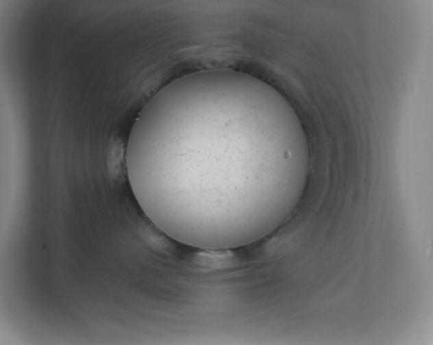 X0000111940480200908101206