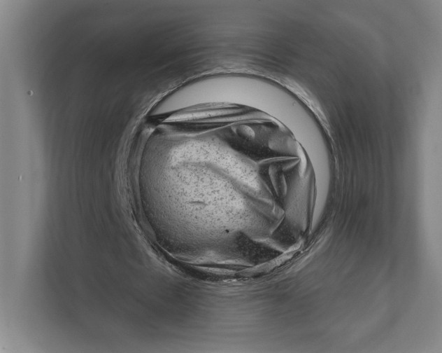 X0000111940481200908101205