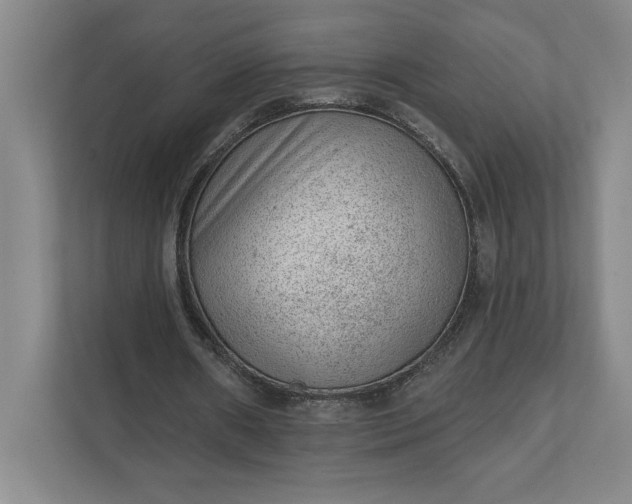 X0000111940482200908101205