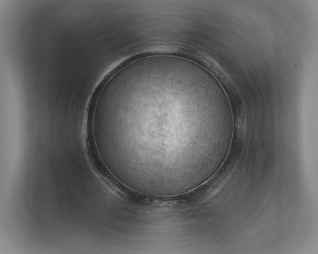 X0000111940484200908101205