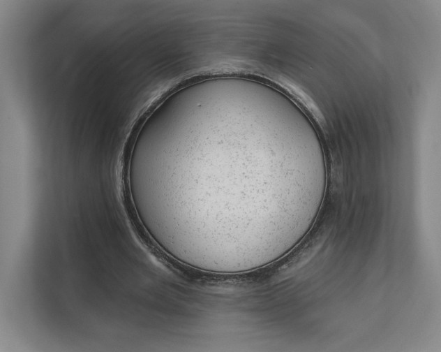 X0000111940485200908101205