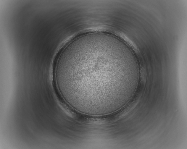 X0000111940486200908101205