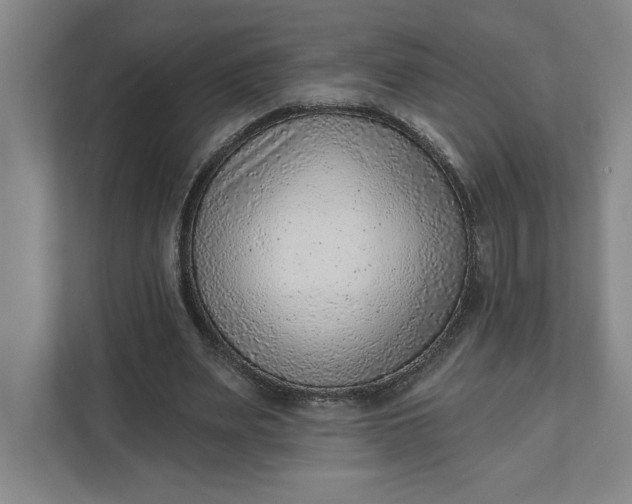 X0000111940487200908101205