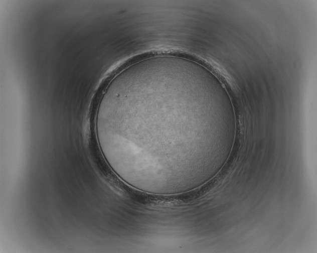 X0000111940488200908101205