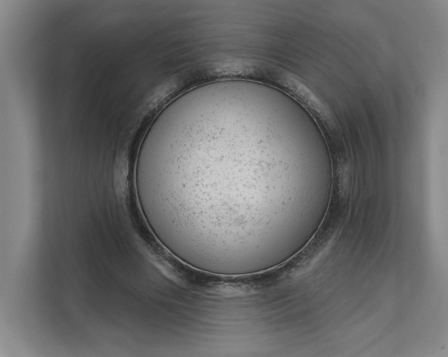 X0000111940490200908101205