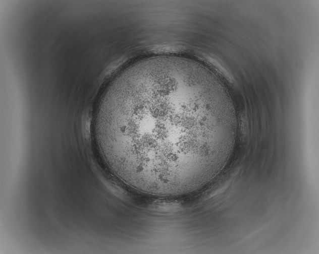 X0000111940491200908101205