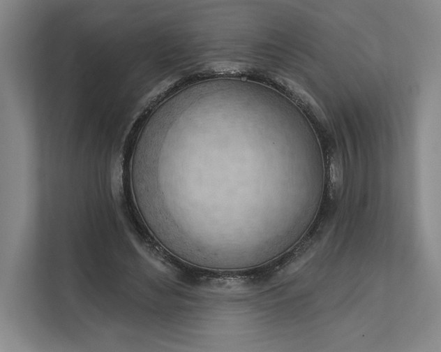 X0000111940492200908101205