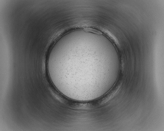 X0000111940493200908101205