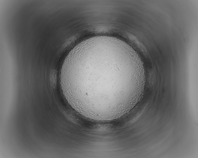 X0000111940495200908101205