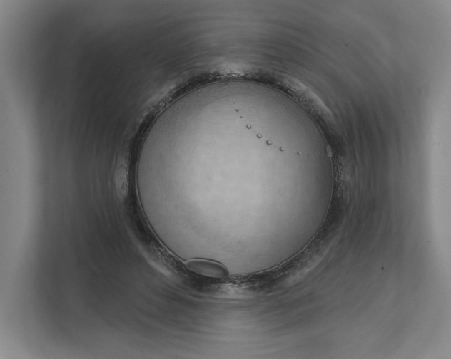 X0000111940496200908101205