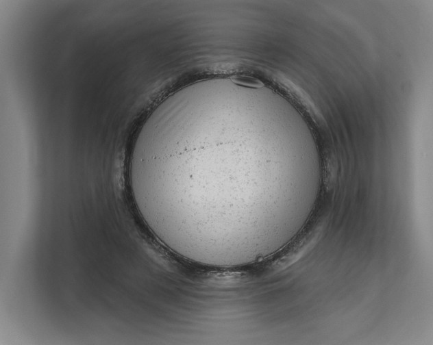 X0000111940497200908101205