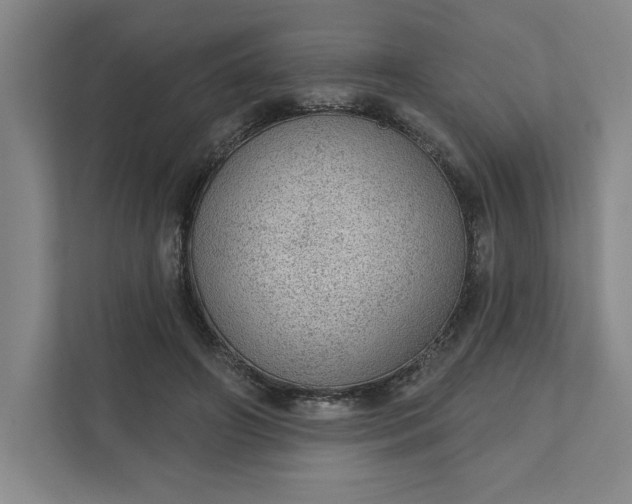 X0000111940498200908101205